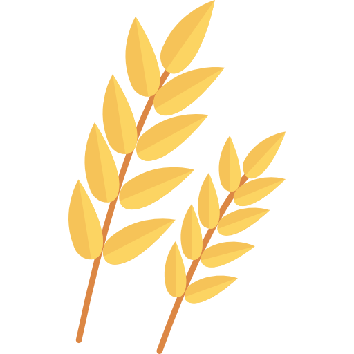 Long Grain Structure