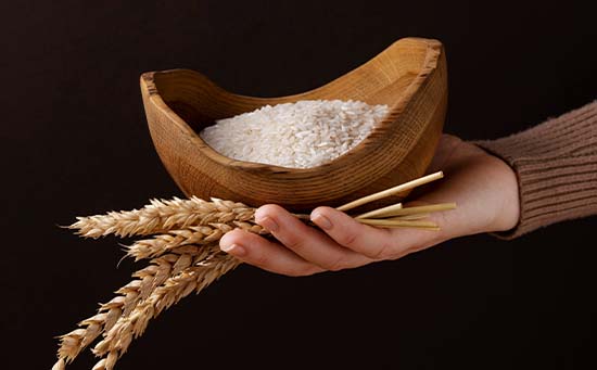 Rice Mill Company in India