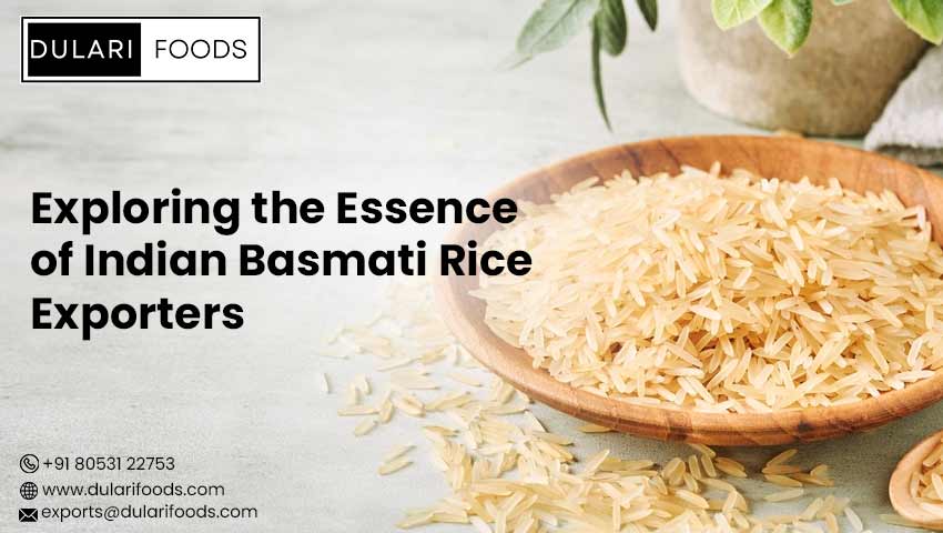 Exploring the Essence of Indian Basmati Rice Exporters