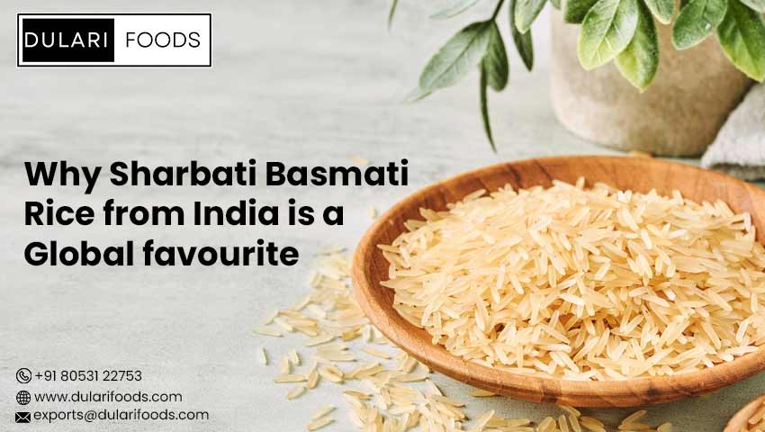 Why Sharbati Basmati Rice from India is a Global favourite